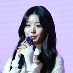 [댓글부탁해] '장원영 괴롭혀 집 산' 탈덕수용소, 법원 "명예훼손...