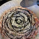 <b>카프리</b>제샐러드