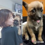 예지원, 산불 피해 구조로 입양한 반려견 이름은 ‘<b>미자</b>’