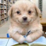 작년재수생 오늘 생윤 풀어봤는데 다맞음