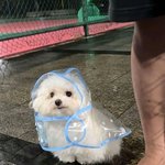 [댓글부탁해] <b>돌출눈</b>은 진짜 어케 해야함?