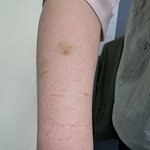 나의 동거묘 <b>도칠</b>이 2025년 여름시작...