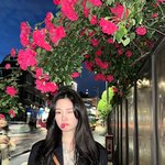 “장미 아래 깜짝 윙크”…정채연, <b>도심</b> 봄밤→청초함 속 장난기