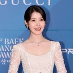 "판사에게 뇌물 줬냐?" 아이유에 또 악플 단 40대, 300만원...