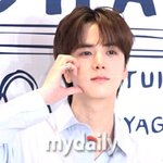 더보이즈 영훈, 무한 플래시 부르는 '꽃 비주얼'