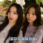 [하투하] 하투하 생각보다 <b>롱런</b>한다