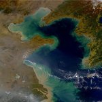 서해를 황해라고 부른 이유