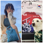 김유정, 현충일에도 ‘<b>청량</b> 유정’… 국수→와인→강아지까지, 일상이...