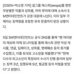 카리나 악플 고소한대
