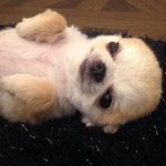 <b>Mbti</b> j인 애들아 진짜 궁금한게 있는데