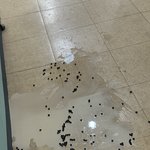 [댓글부탁해] 내가 진짜 열받는 일 겪었는데