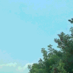 [하고싶은말] <b>Good</b> morning