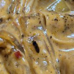 <b>배달</b>음식 벌레... 회수 후 조치, 이게 맞나요?