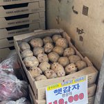 [드루와] 대학오니까 공부 줜나하기시름