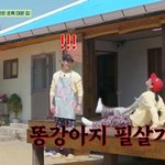 이재욱에 “너 앞치마 나랑 바꿔” 주저앉아 생떼 (언니네 <b>산지</b>직송2)