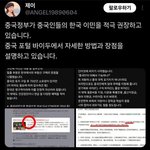 중국 <b>포털</b> 바이두 "대한민국 이민을 시작하라"