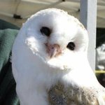 으카캌ㅋㅋ 더비년들 <b>업보</b>쳐맞는 날이 오늘이구나