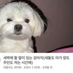 [군대] 얘들아 <b>긴장</b>해라