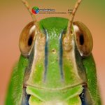 난 이제 코히를 <b>마시</b>로 가여겠어