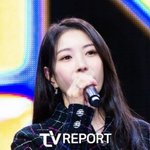 '구설수甲' 보아, 서울 전역서 테러 당하고 있어…"명백한 범죄...