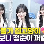 범접 불가 고양이' 노제, 알고 보니 청순이 퍼스널 <b>컬러</b>~