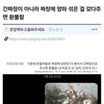 [웃픽] 간짜장 요구사항 정면돌파하는 중국집 사장님.<b>jpg</b>