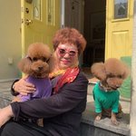 "18년 함께했는데, 이젠 안녕" 양희은, 치매·췌장염 투병...