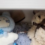 <b>내방</b>에 얘네다 잇엇네