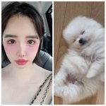 박봄, 얼굴 대신 아기강아지 공개… “이름은 ‘감사’에요”
