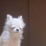 [ㅊㅂ] 성신여대간호vs경희대 <b>무역</b>학과