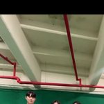 요즘 여돌들 비율 미쳤다