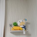 [<b>뉴하우스</b>] 딸기야 너 집생겻어