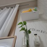 내 방으로 독립햇다