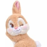 촘촘<b>따리</b> 촘촘따