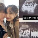 "<b>짐승</b>도 자기 새낀 안 버려"…'임신' 서민재, 잠적 끝에 또다시...