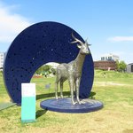 [이것좀봐줘] 4월에 찍은 열린<b>송현</b> 녹지광장 사진들