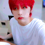 한태산 <b>펫캠</b>