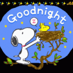 [하고싶은말] <b>현생</b> 살아야지