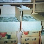 [웃픽] 우리나라에 이미 있던 <b>애플</b>페이