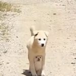 [댓글부탁해] 알바 강제로 <b>대타</b> 뜀 이거맞냐ㅠㅠㅠㅠ