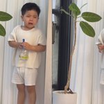 기럭지로 눈물 뚝뚝” 제이쓴홍현희 子 준범이, <b>나무</b> 잡고 운 사연