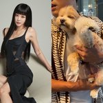 '10세 연하' 한예슬 "아이 다리가 부러진 채...어떻게 해야...