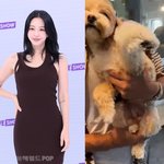 한예슬 충격+분노, 반려견 유치원 맡겼다 다리 부러져 “감정 소화...