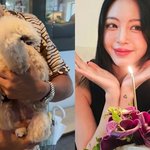 한예슬, 반려견 낙상 사고에 깊은 충격 “가슴 두근거리고 소화 안돼”