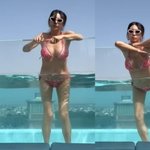 62세 황신혜, 스페인 <b>루프</b>탑 수영장서 '美친 비키니 몸매' 대방출