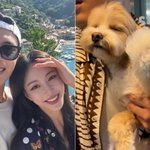 한예슬, 반려견 호텔링에 맡겼다가 날벼락 “멀쩡한 다리 부러져”