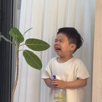 제이쓴홍현희 子, <b>나무</b> 붙잡고 오열..한지민 "너무 귀여워"