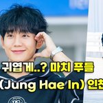 정해인(Jung Hae <b>In</b>),'이렇게 귀여울 수가... 마치 푸들'...