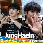 정해인, 곱슬머리로 귀여움 폭발…댕댕美 만렙 (출국) [뉴스엔<b>TV</b>]