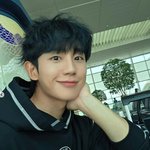 공항에 큰 푸들이 나타났어요! 아, 정해인이구나!